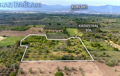 C21 LOCA'DAN HAVRAN BÜYÜKDERE'DE SATILIK TARLA / MANDALİNLİK
