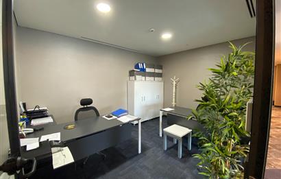 Porta Vadi Kiralık Ofis 293m2 Mobilyalı Dekorasyonlu Vadistanbul