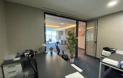 Porta Vadi Kiralık Ofis 293m2 Mobilyalı Dekorasyonlu Vadistanbul
