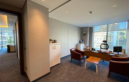 Porta Vadi Kiralık Ofis 293m2 Mobilyalı Dekorasyonlu Vadistanbul