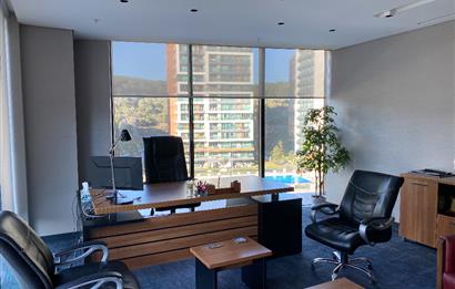 Porta Vadi Kiralık Ofis 293m2 Mobilyalı Dekorasyonlu Vadistanbul