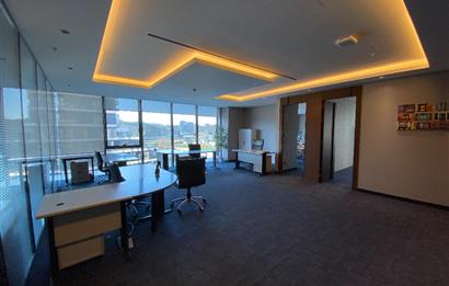 Porta Vadi Kiralık Ofis 293m2 Mobilyalı Dekorasyonlu Vadistanbul