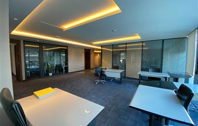 Porta Vadi Kiralık Ofis 293m2 Mobilyalı Dekorasyonlu Vadistanbul