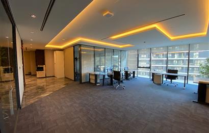 Porta Vadi Kiralık Ofis 293m2 Mobilyalı Dekorasyonlu Vadistanbul