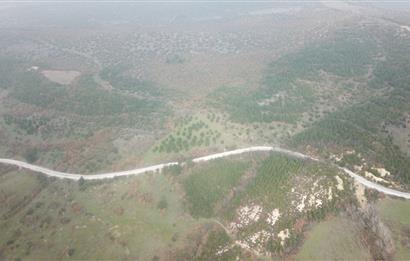 C21 WİNNER KEPSUT DOMBAYDERE KÖYÜ 5.567M2 SATILIK TARLA