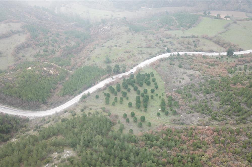 C21 WİNNER KEPSUT DOMBAYDERE KÖYÜ 5.567M2 SATILIK TARLA