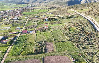 C21 WİNNER KEPSUT NUSRET KÖYÜ 888M2 SATILIK ARSA