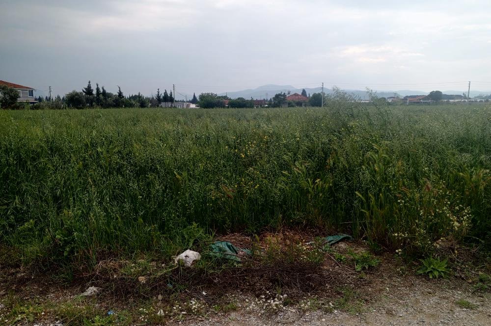Menderes Develi Köyünde Satılık Tarla 