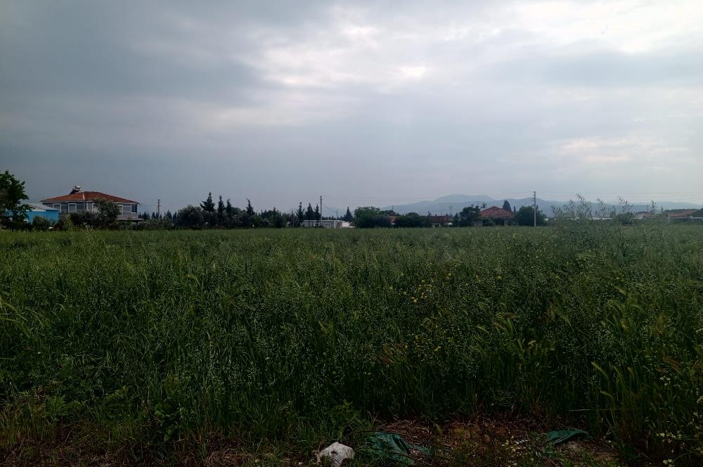 Menderes Develi Köyünde Satılık Tarla 