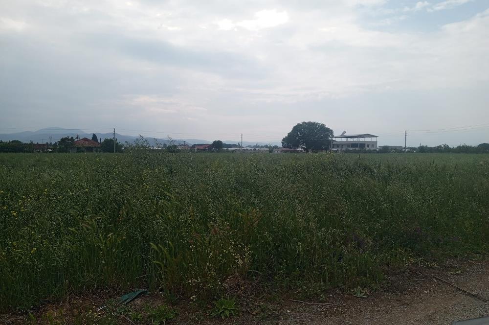 Menderes Develi Köyünde Satılık Tarla 