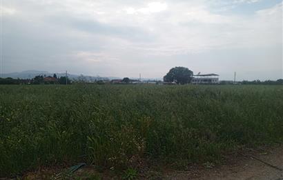 Menderes Develi Köyünde Satılık Tarla 