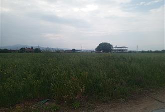 Menderes Develi Köyünde Satılık Tarla 