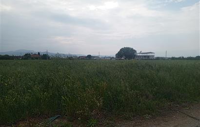 Menderes Develi Köyünde Satılık Tarla 