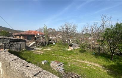 CENTURY21 BAL’DAN  YENİKÖY SATILIK KÖY EVİ VE ARSA