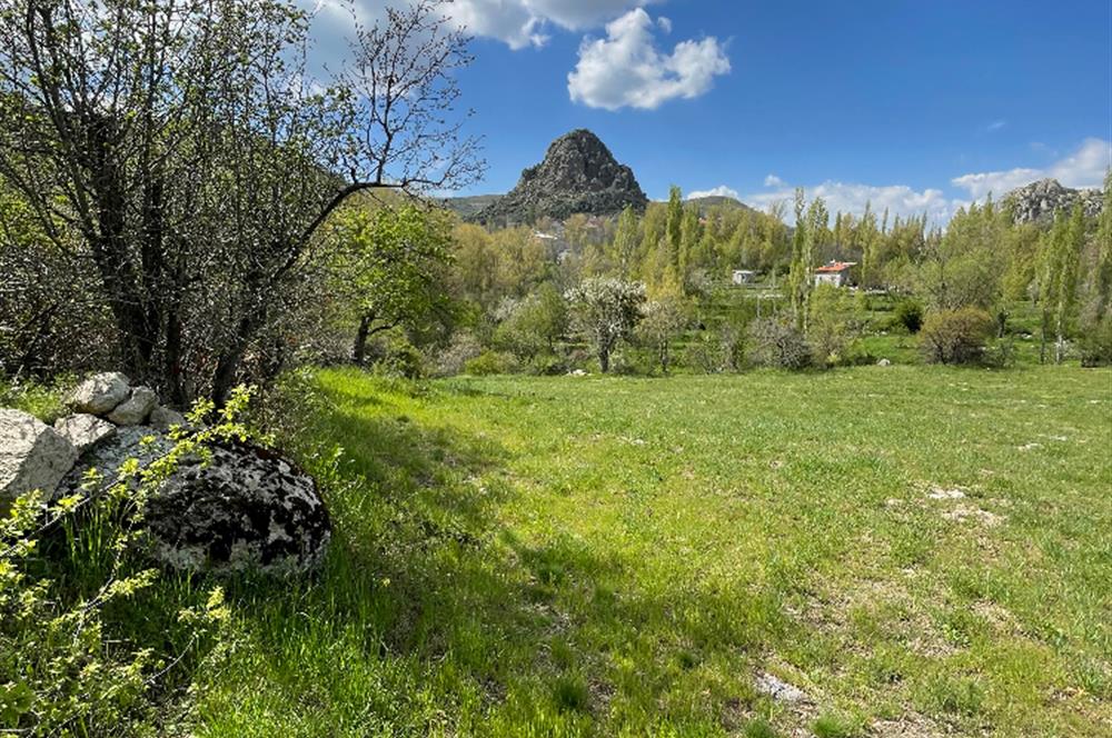 CENTURY21 PLUS'DAN MERA SINIRINDA 5.699 M2 FIRSAT BAHÇE