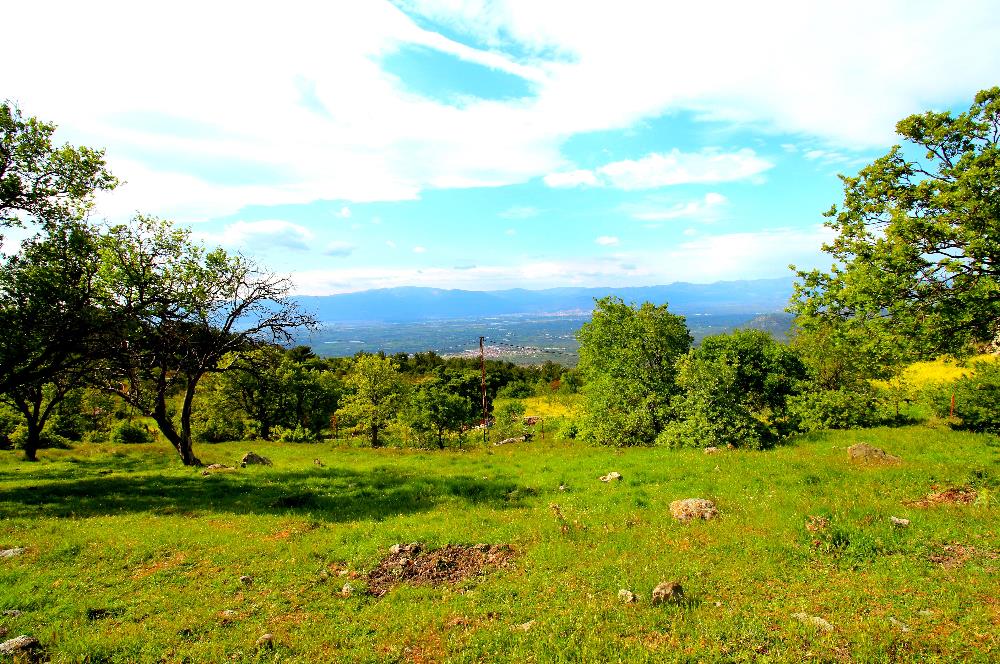 Burhaniye Çallı Mahallesinde Full Deniz ve Körfez Manzaralı Bahçe