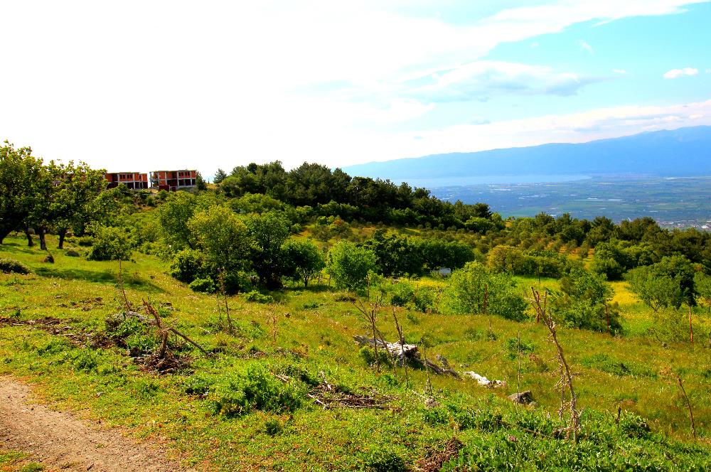 Burhaniye Çallı Mahallesinde Full Deniz ve Körfez Manzaralı Bahçe