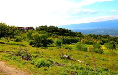 Burhaniye Çallı Mahallesinde Full Deniz ve Körfez Manzaralı Bahçe