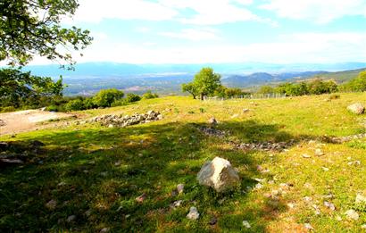 Burhaniye Çallı Mahallesinde Full Deniz ve Körfez Manzaralı Bahçe