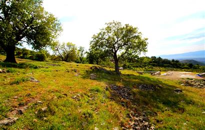 Burhaniye Çallı Mahallesinde Full Deniz ve Körfez Manzaralı Bahçe