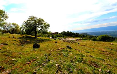 Burhaniye Çallı Mahallesinde Full Deniz ve Körfez Manzaralı Bahçe