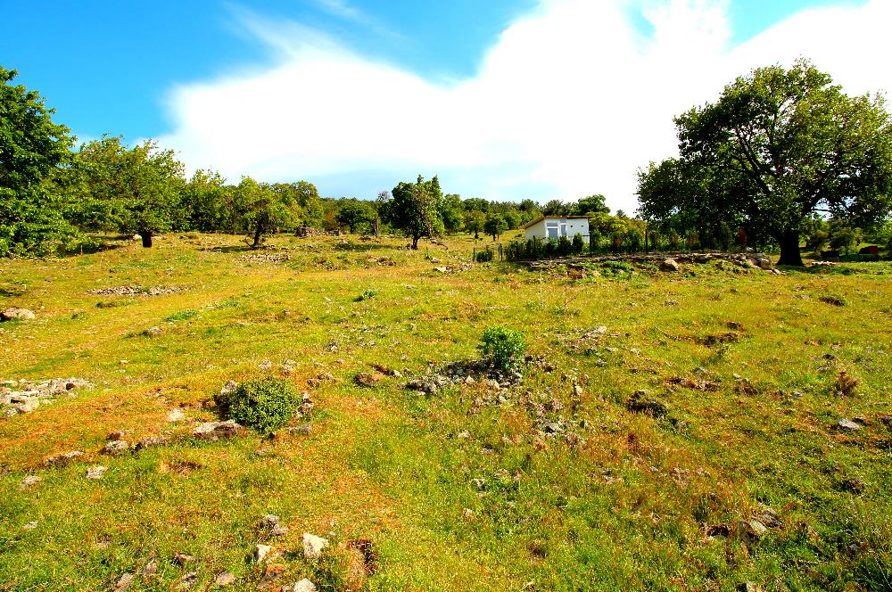 Burhaniye Çallı Mahallesinde Full Deniz ve Körfez Manzaralı Bahçe