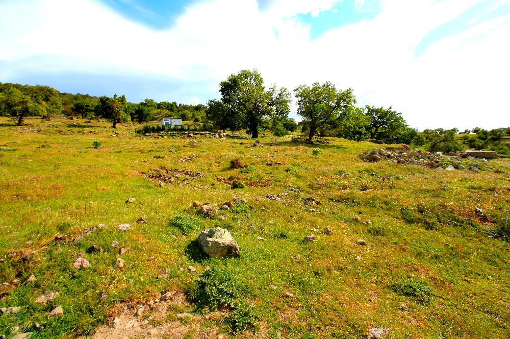 Burhaniye Çallı Mahallesinde Full Deniz ve Körfez Manzaralı Bahçe