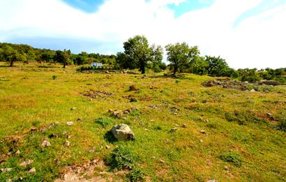 Burhaniye Çallı Mahallesinde Full Deniz ve Körfez Manzaralı Bahçe