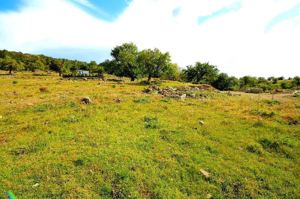 Burhaniye Çallı Mahallesinde Full Deniz ve Körfez Manzaralı Bahçe