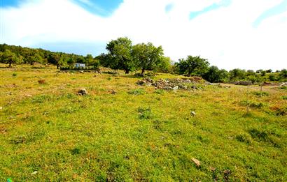 Burhaniye Çallı Mahallesinde Full Deniz ve Körfez Manzaralı Bahçe