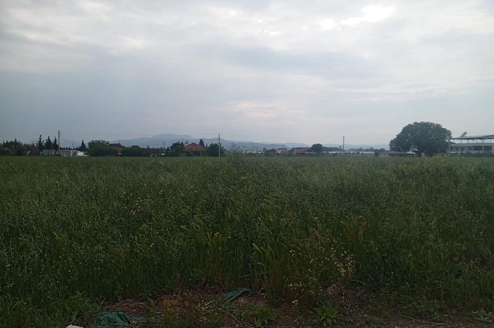 Menderes Develi Köyünde Satılık Tarla 