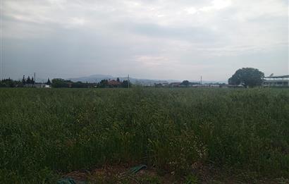 Menderes Develi Köyünde Satılık Tarla 