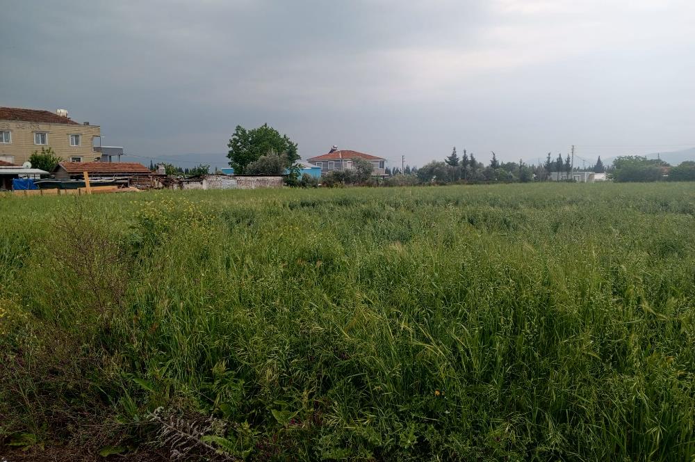 Menderes Develi Köyünde Satılık Tarla 