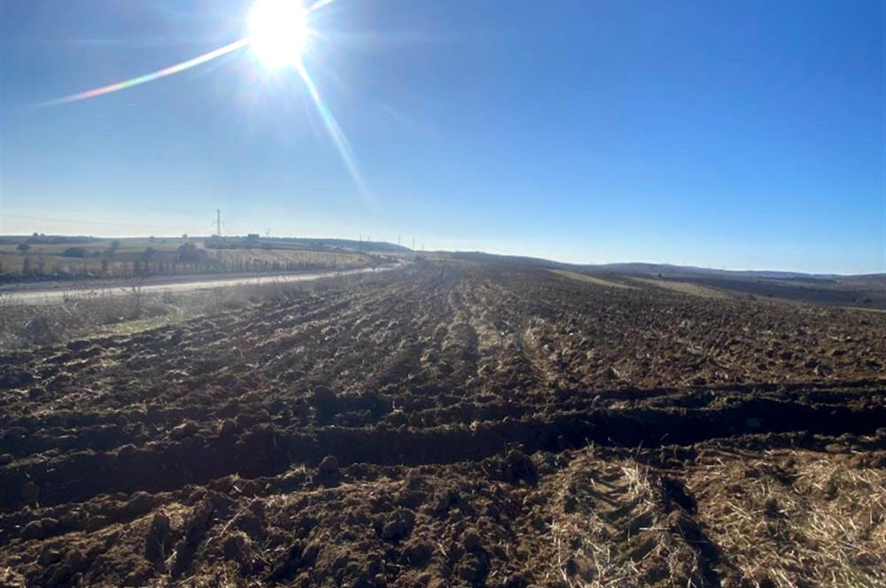 Eskişehir Hekimdağ Yatırımlık Tarla