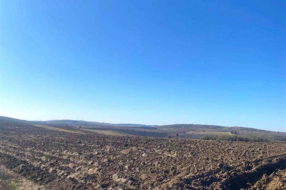 Eskişehir Hekimdağ Yatırımlık Tarla