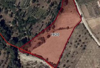 CENTURY21 PLUS'DAN MERA SINIRINDA 5.699 M2 FIRSAT BAHÇE
