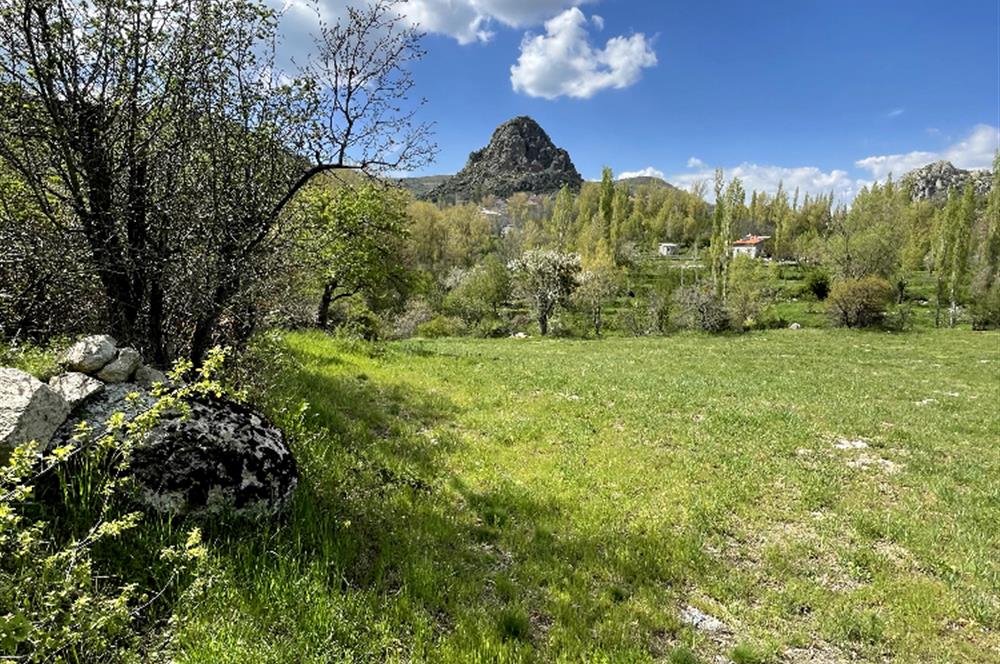 CENTURY21 PLUS'DAN MERA SINIRINDA 5.699 M2 FIRSAT BAHÇE