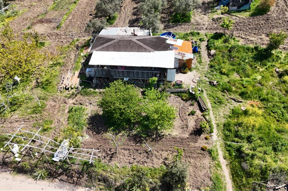 C21 NOVO DAN İPEKYAYLADA SATILIK ARAZİ