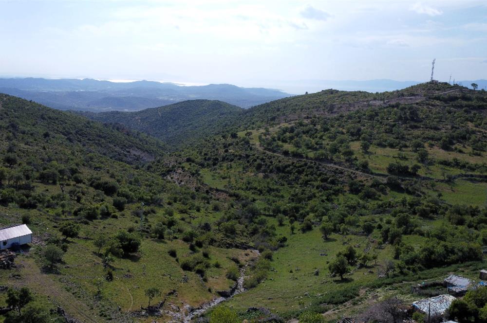 Burhaniye Kuyucak Köyünde Deniz Manzaralı Konut İmarlı Arsa