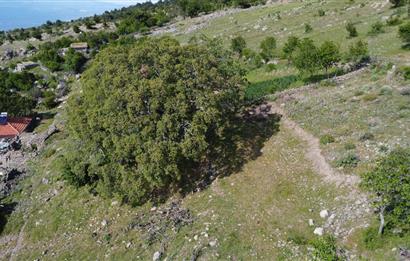 BURHANİYE KUYUCAK MAHALLESİ FULL DENİZ MANZARALI MUHTEŞEM KONUMDA ARSA