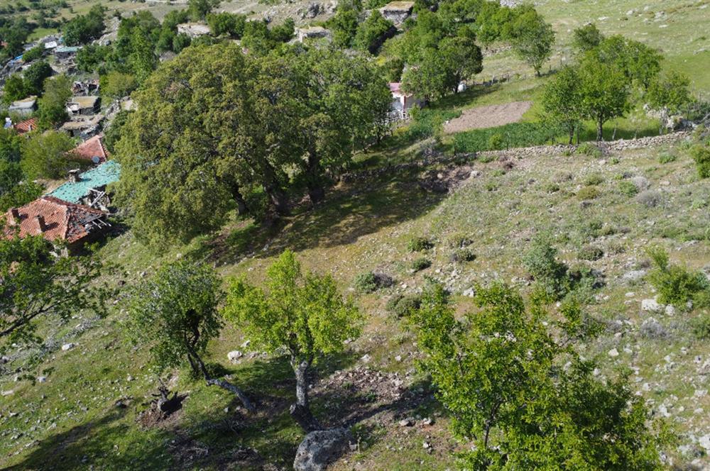 BURHANİYE KUYUCAK MAHALLESİ FULL DENİZ MANZARALI MUHTEŞEM KONUMDA ARSA