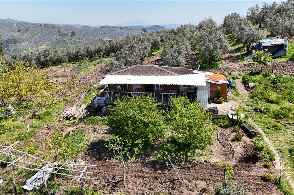 C21 NOVO DAN İPEKYAYLADA SATILIK ARAZİ