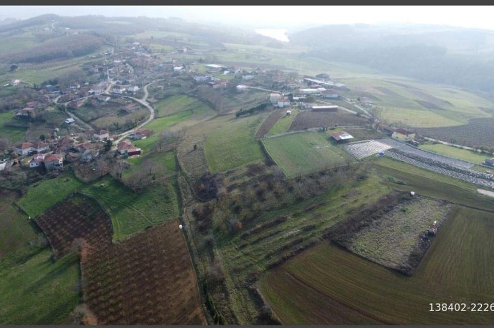 C21 LOCA'DAN ADAPAZARI'NDA SATILIK TARLA