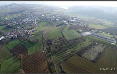 C21 LOCA'DAN ADAPAZARI'NDA SATILIK TARLA