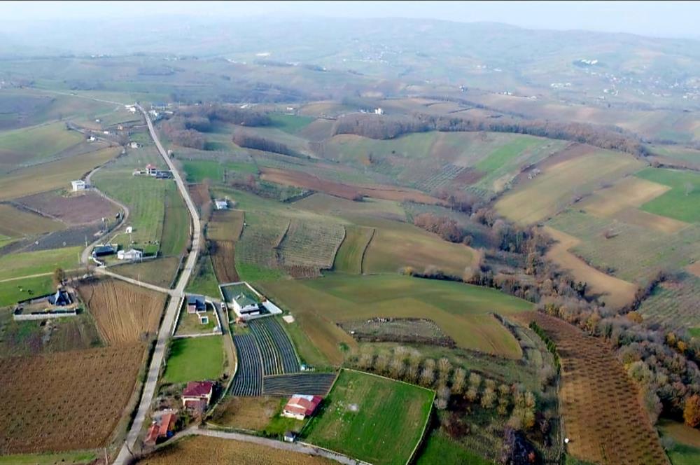 C21 LOCA'DAN ADAPAZARI'NDA SATILIK TARLA
