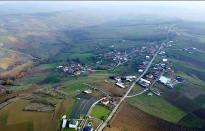 C21 LOCA'DAN ADAPAZARI'NDA SATILIK TARLA