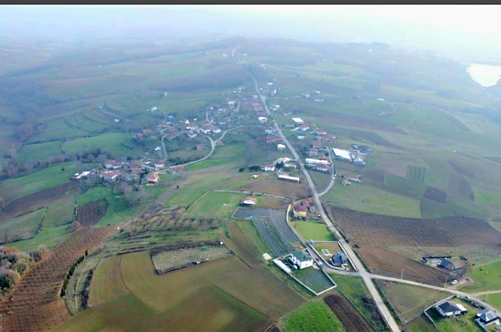 C21 LOCA'DAN ADAPAZARI'NDA SATILIK TARLA
