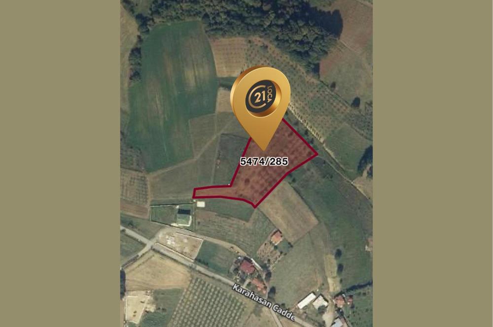 C21 LOCA'DAN ADAPAZARI'NDA SATILIK TARLA