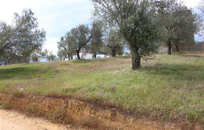Burhaniye Pelitköy Mahallesinde 340m2 Villa İmarlı Arsa