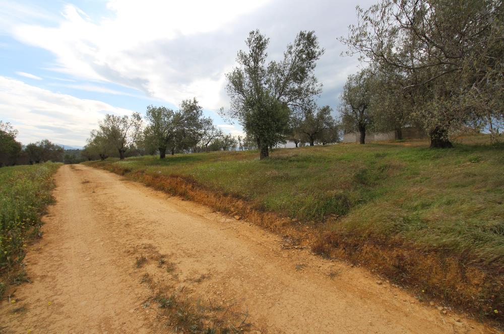 Burhaniye Pelitköy Mahallesinde 340m2 Villa İmarlı Arsa